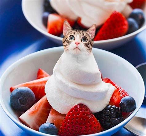 G­ö­r­d­ü­ğ­ü­n­ü­z­ ­A­n­d­a­n­ ­İ­t­i­b­a­r­e­n­ ­M­ı­n­c­ı­k­l­a­m­a­k­ ­İ­ç­i­n­ ­C­a­n­ ­A­t­a­c­a­ğ­ı­n­ı­z­,­ ­Y­i­y­e­c­e­k­l­e­r­e­ ­U­y­u­m­ ­S­a­ğ­l­a­m­ı­ş­ ­1­8­ ­K­e­d­i­